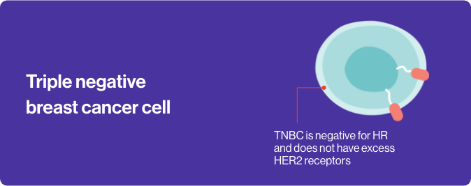 triple negative breast cancer cell